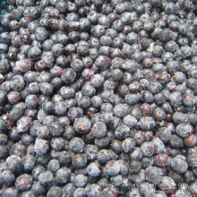 IQF congelación orgánica Blueberry Zl-100065
